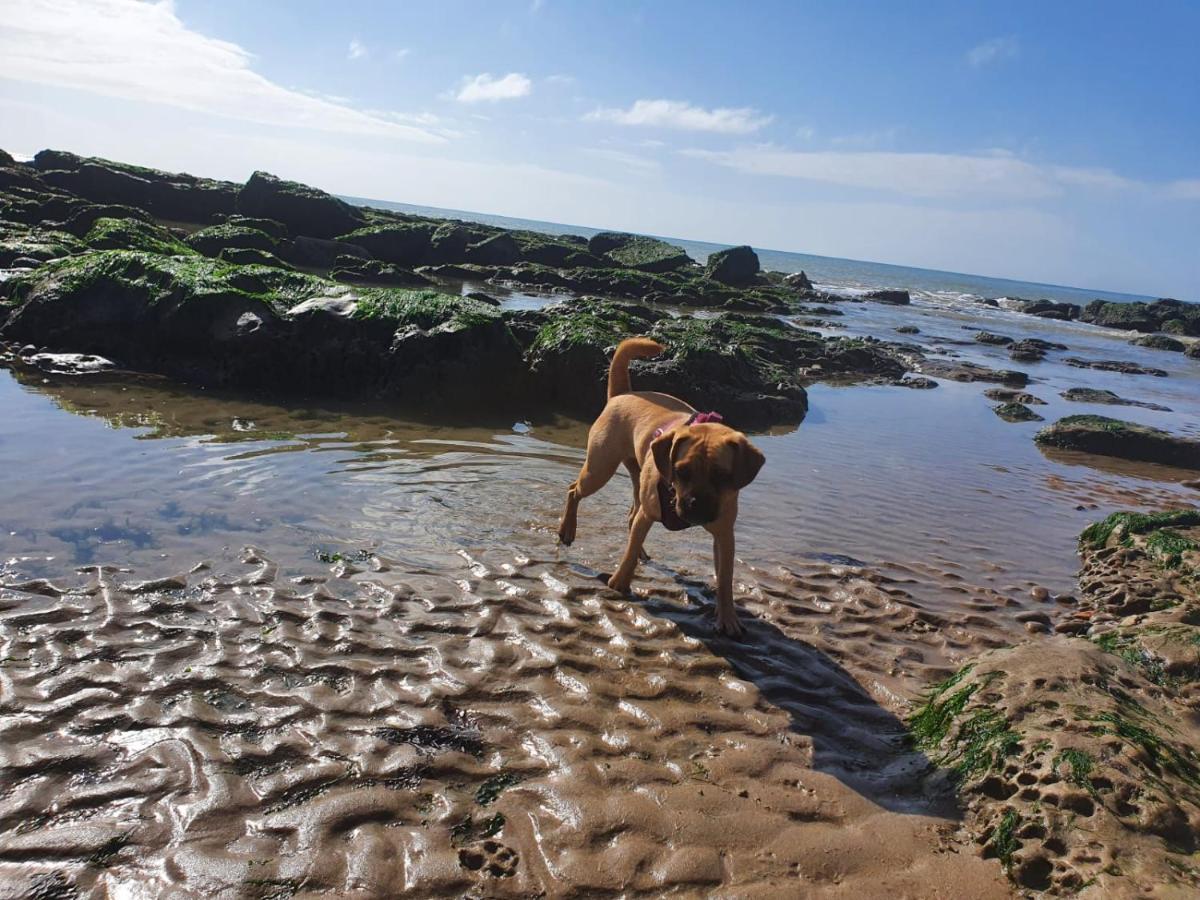Beautiful Apartment 2 Mins To The Beach St Leonards-on-Sea Εξωτερικό φωτογραφία